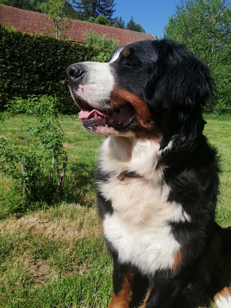 Publication : Du Jardin D'Unak