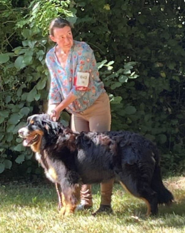 Publication : du royaume des reves 