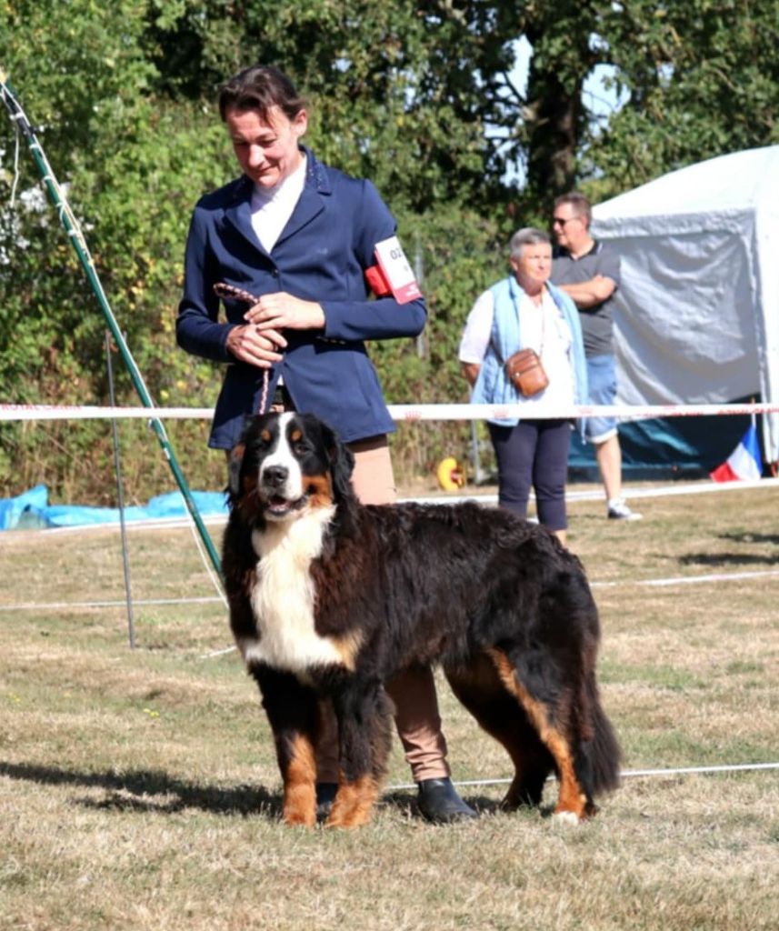 Publication : du royaume des reves 