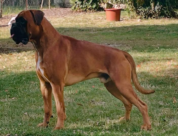 Publication : Franck Mouchelet Auteur : Mouchelet Soraya