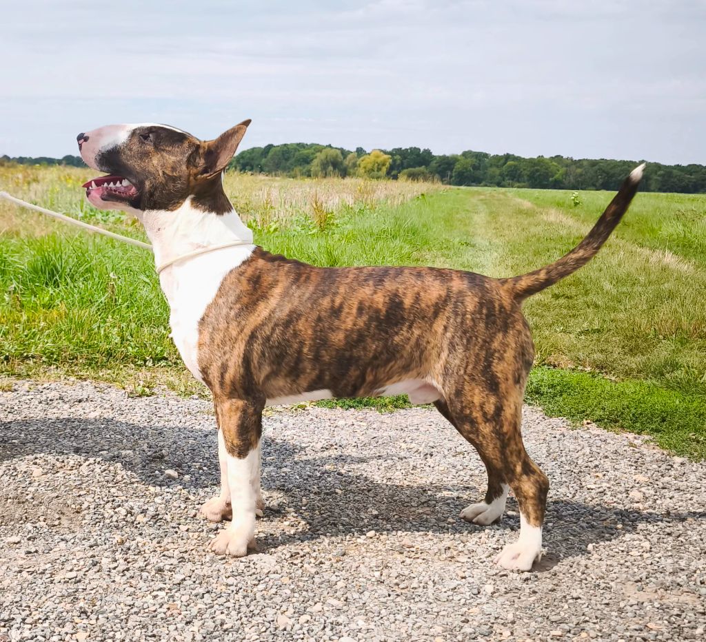 Publication : Head Full 