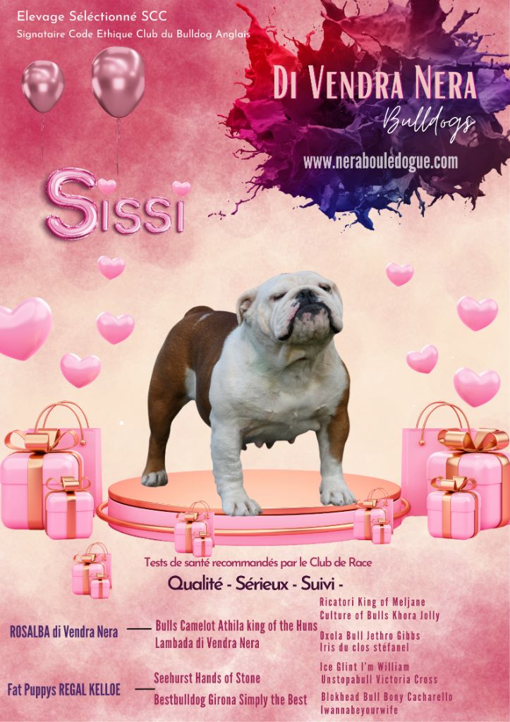 Publication : Di Vendra Nera 