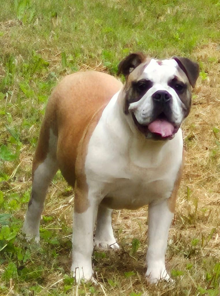 Publication : Des Brumes Du Luberon 