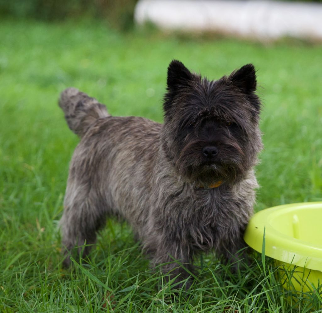 Publication : du domaine de kerallan 