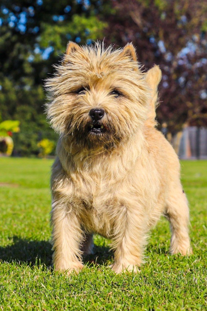 Publication : Quentin's Touch 