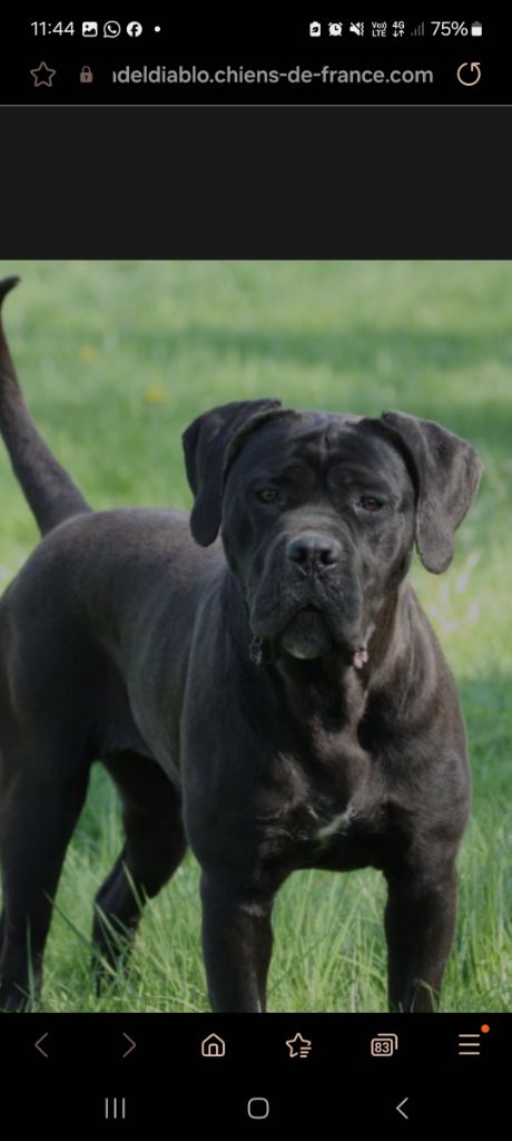 Publication : (Sans Affixe) 