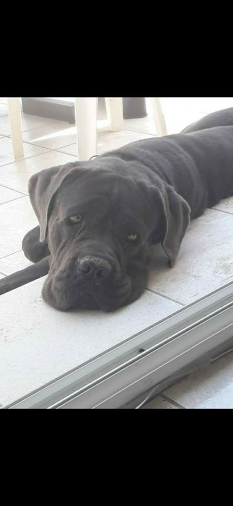 Publication : (Sans Affixe) 