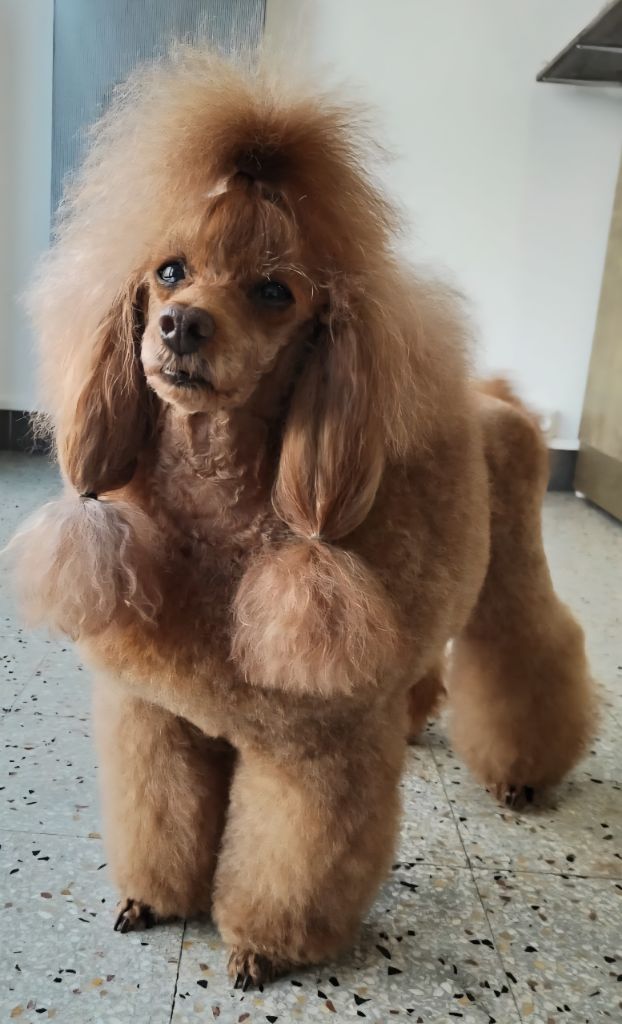 Publication : Du Domaine De La Pruneraie