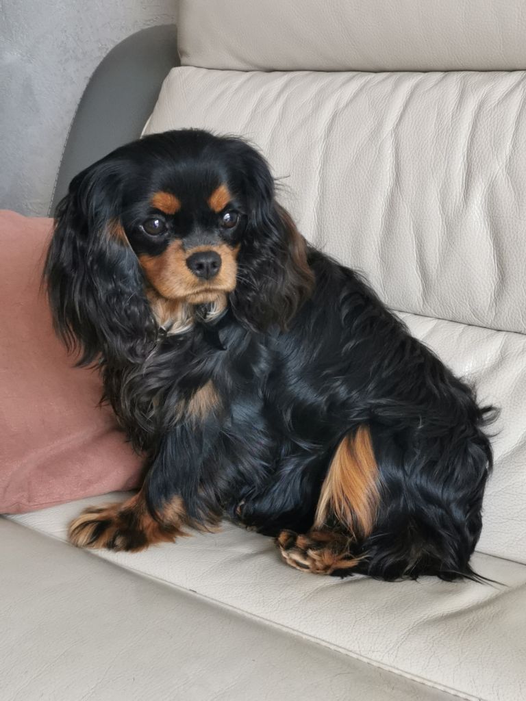 Publication : de Pink'Paradise 