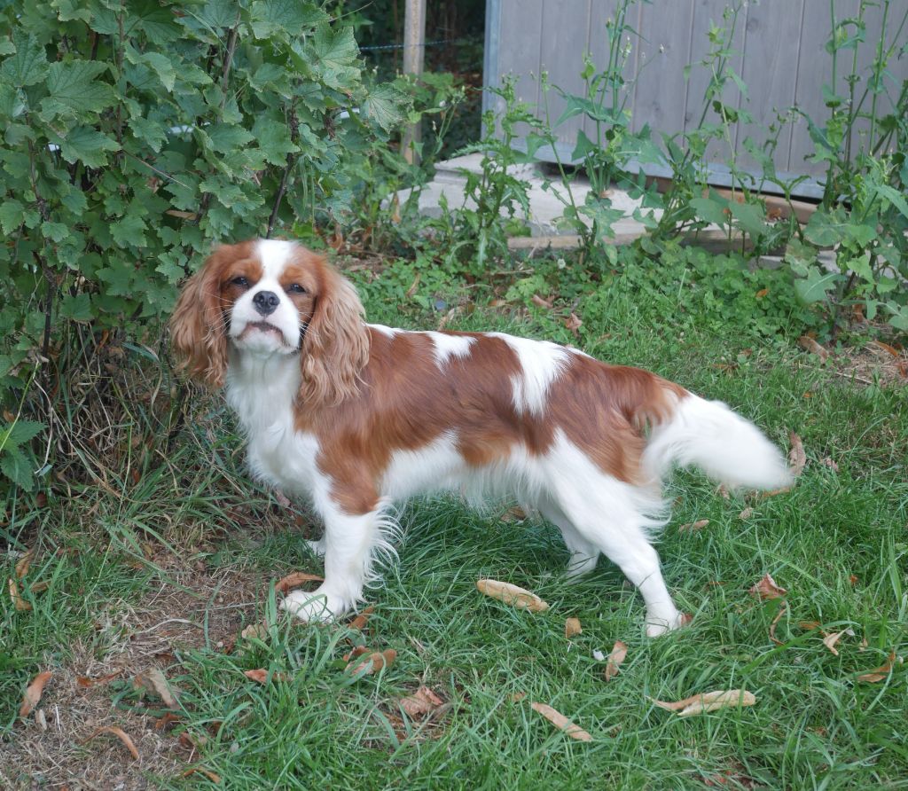 Publication : De Sevmek 