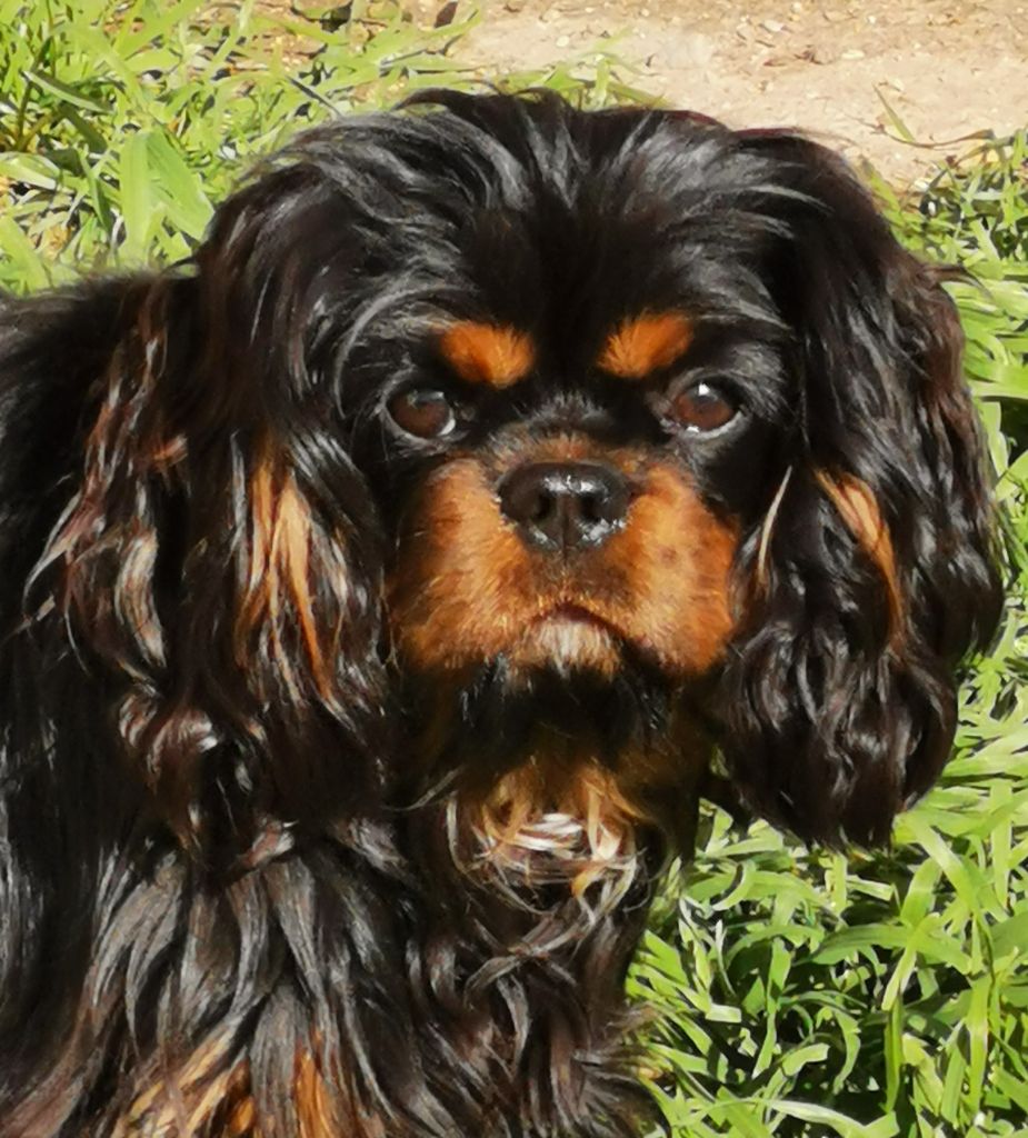 Publication : de Pink'Paradise 