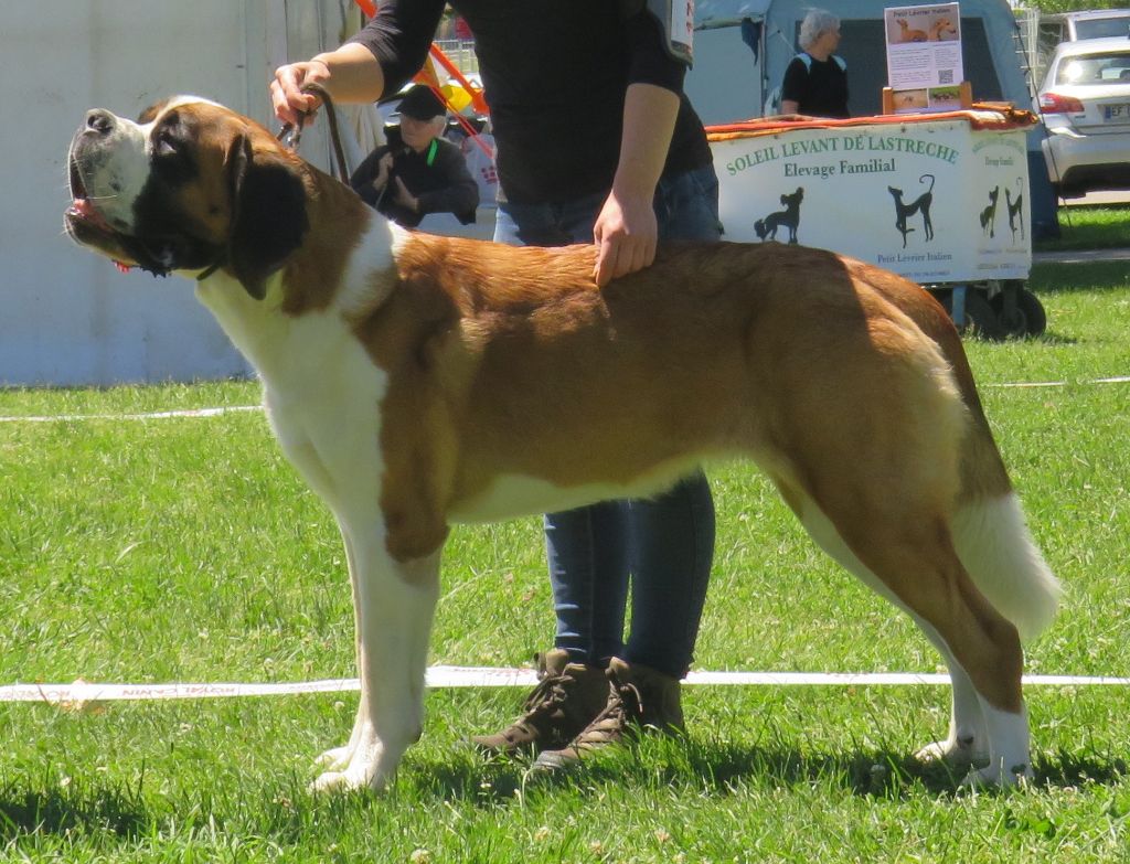 Publication : De La Route De La Source 