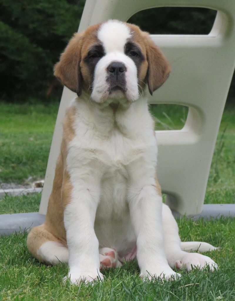 Publication : De La Route De La Source 