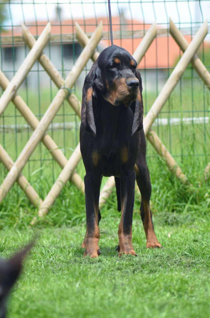 Publication : Des Gardiens D'Alma