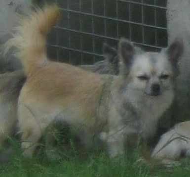 Publication : Du Domaine Des Beautés Divines 