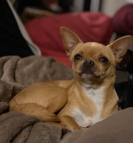 Publication : De L’Empreinte De Maitouck