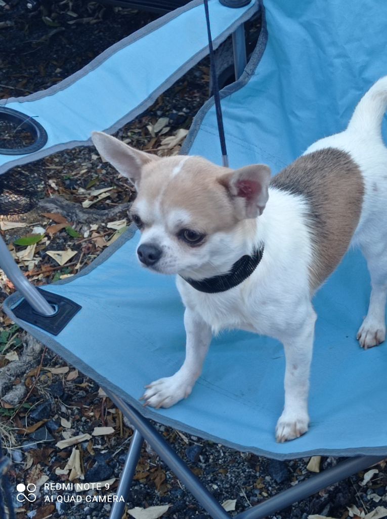 Publication : du royaume de Casabelle Auteur : jeanmarc BOUIN