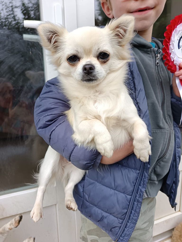 Publication : Du Royaume De Faidel 