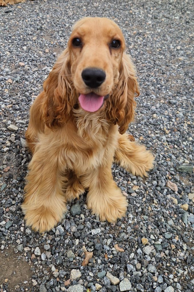 Publication : Du Domaine De La Verrinette 