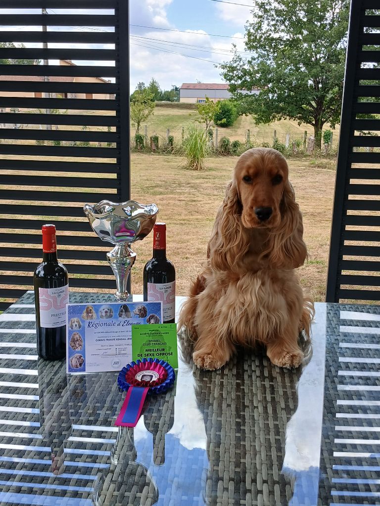 Publication : des Charmes de Verzan Auteur : VALERIE LAREU