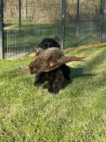 Publication : des Etangs de Dame Blanche