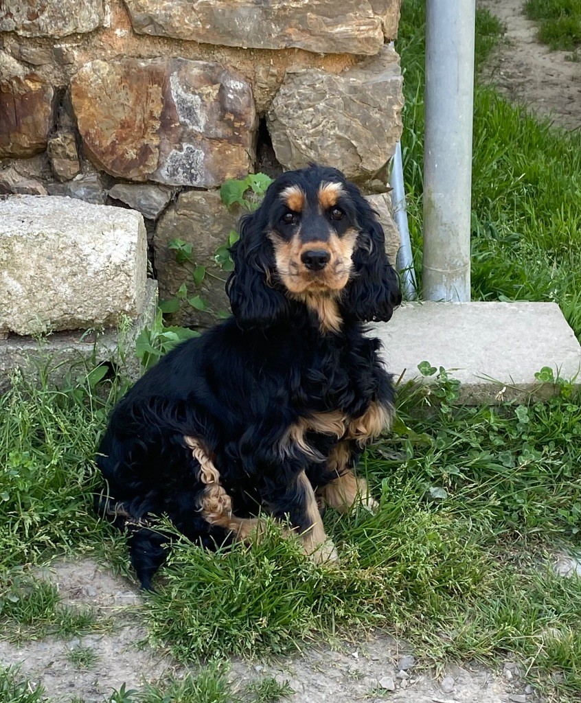 Publication : De La Bonne Fontaine De Jouvence Auteur : Audrey AMPROU