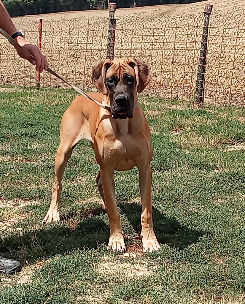 Publication : de la vallée des trois lacs 