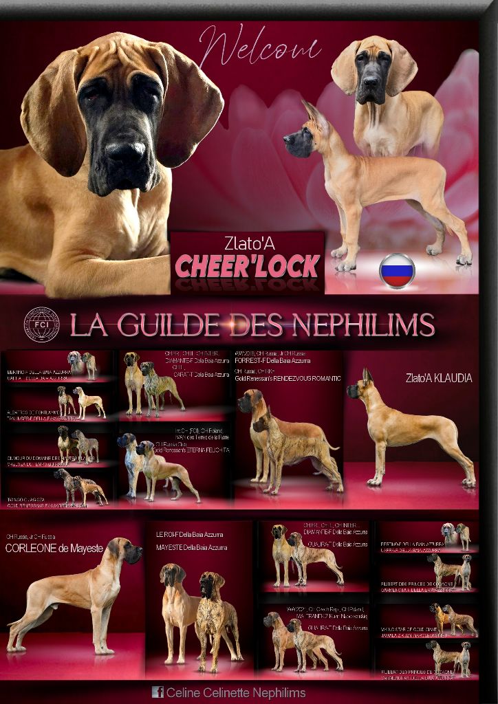 Publication : De La Guilde Des Néphilims Auteur : le design de celine