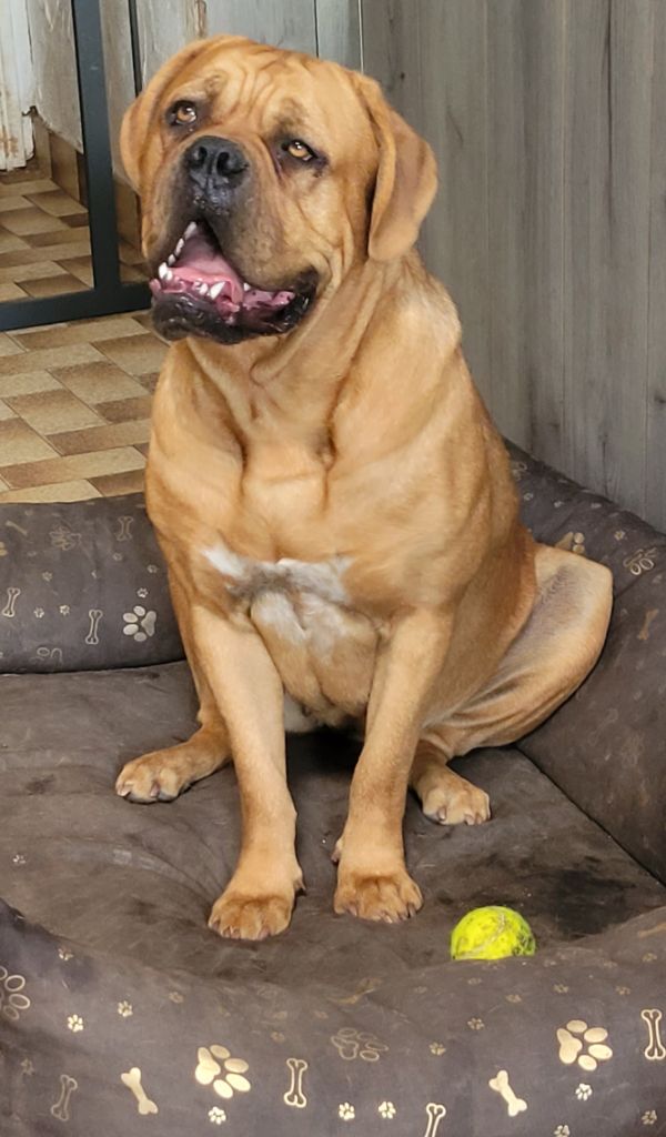 Publication : de la vallée de Saint Georges 