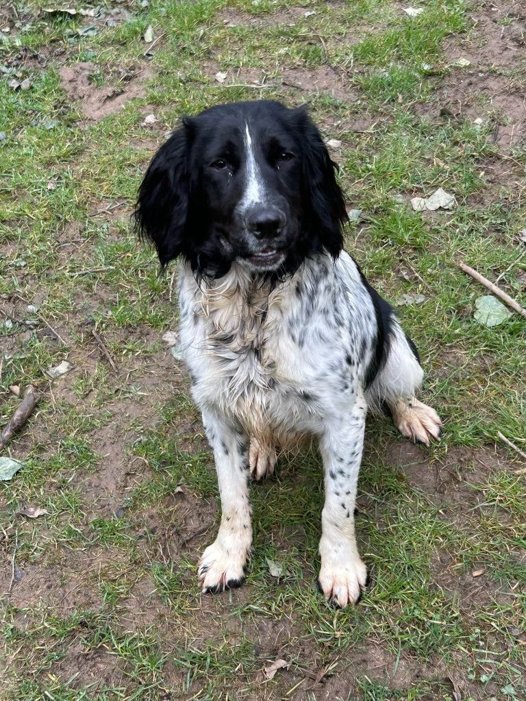 Publication : des Etangs de Dame Blanche 