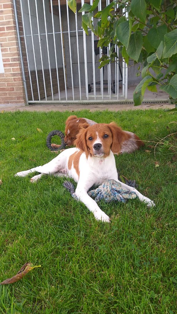 Publication : du mont de Quelmes 