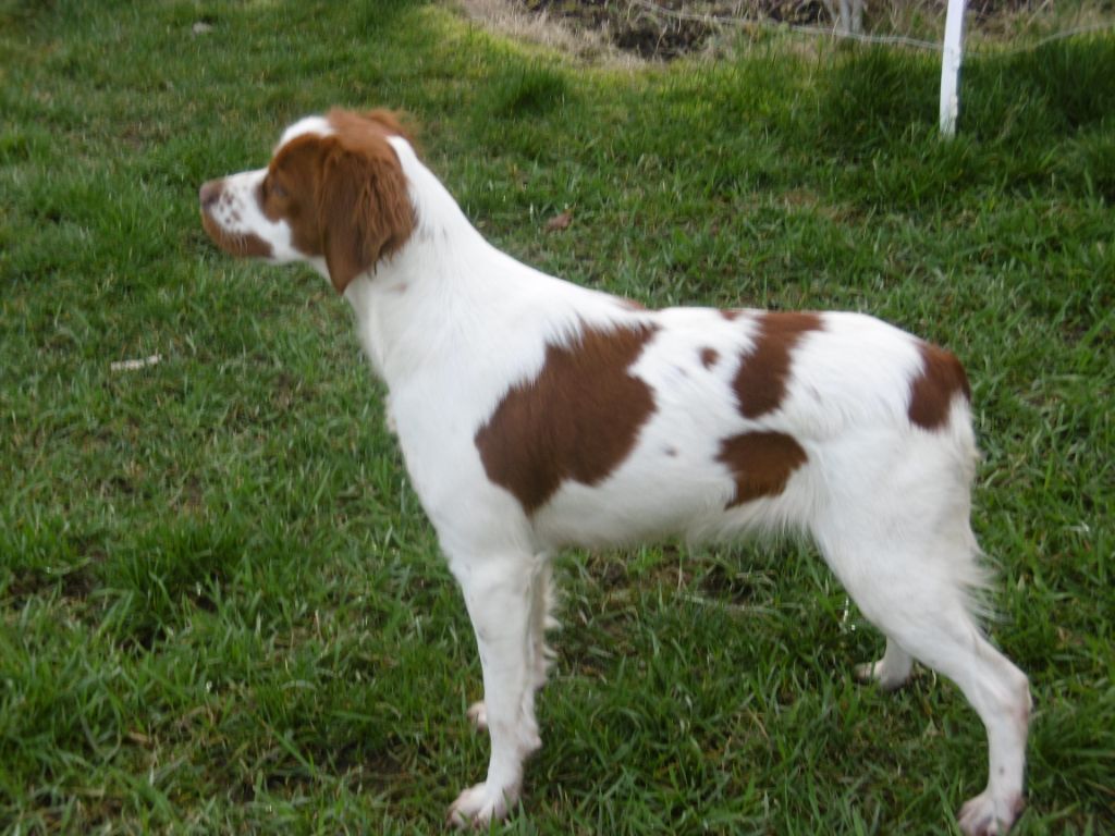 Publication : Du Vallon De Précy Auteur : Jean François GAGNEAU