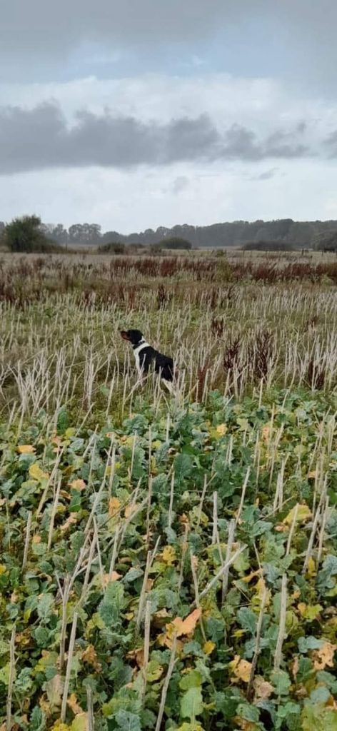 Publication : du Clos du Grand Lieu