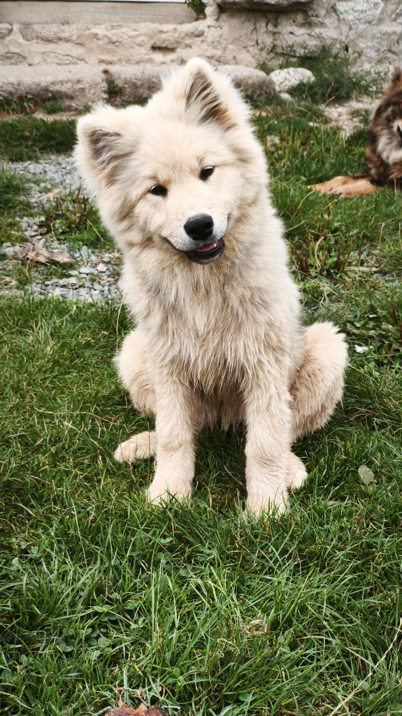 Publication : Des Terres Vagabondes 