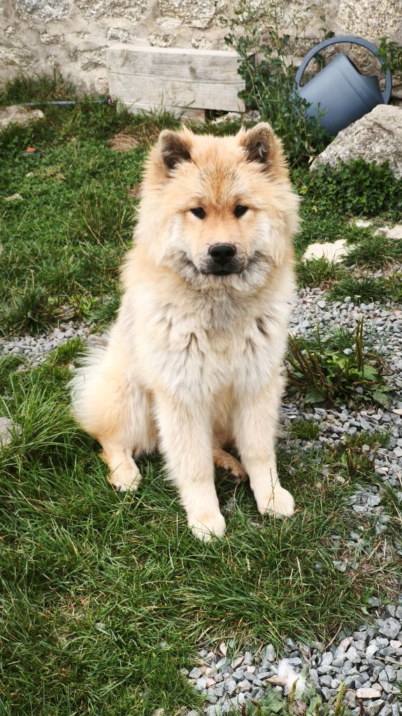 Publication : Des Terres Vagabondes 