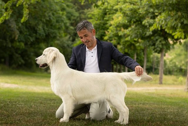 Publication : Of Golden Love Heaven Auteur : J'M Gabrion Photographie