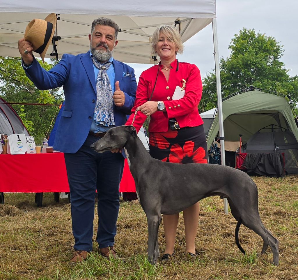 Publication : Des dames du lac Auteur : Les Dames du Lac