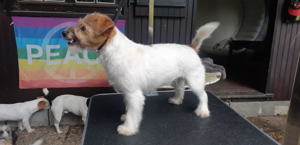 Publication : Jacks’ Lair 