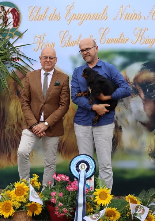 Publication : du Domaine des Trois Clefs Auteur : Franck et Luis Bonnet Martins