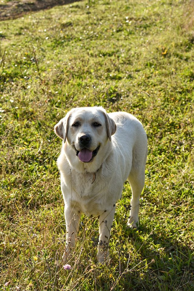 Publication : Du Bois H