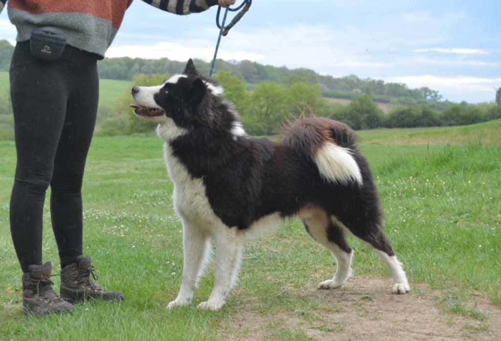 Publication : Polar Souls 