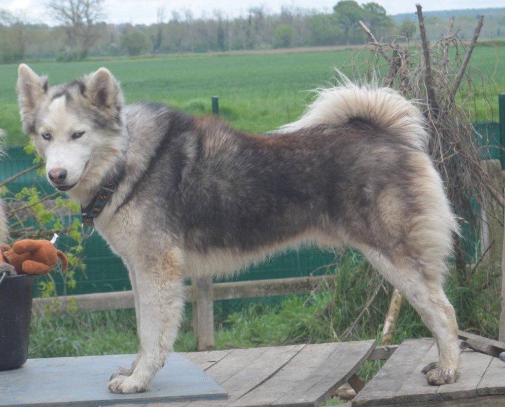 Publication : Polar Souls 