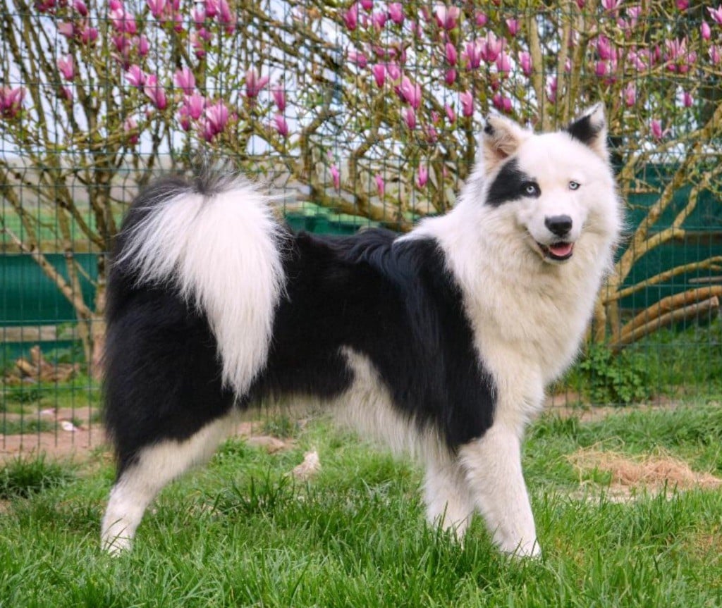 Publication : Polar Souls 