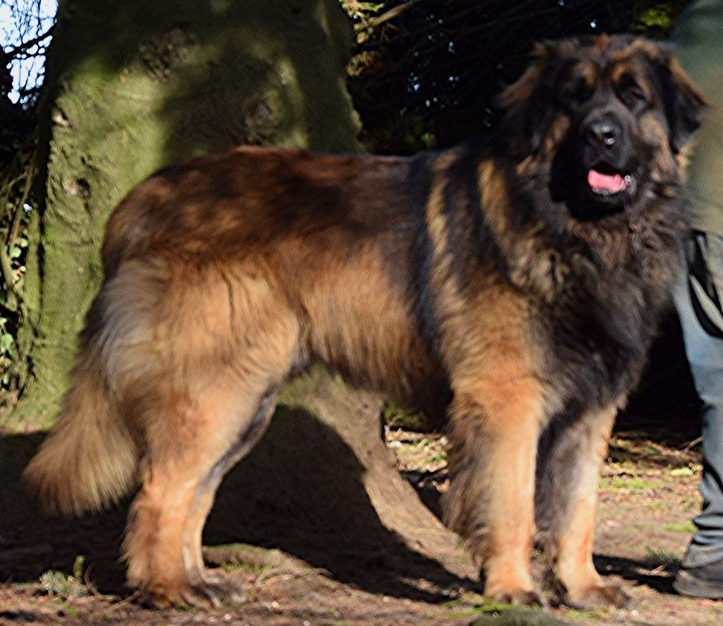 Publication : Des Neiges de Chantelouve 