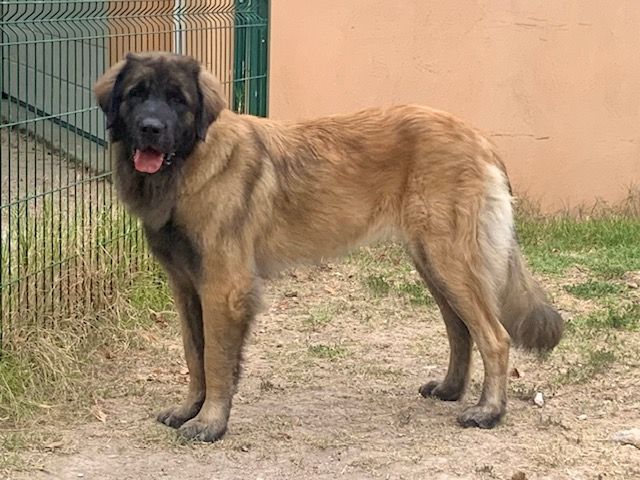 Publication : Du Domaine Tout Y Croît 