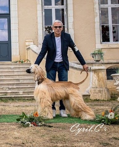 Publication : Chev - Chari's