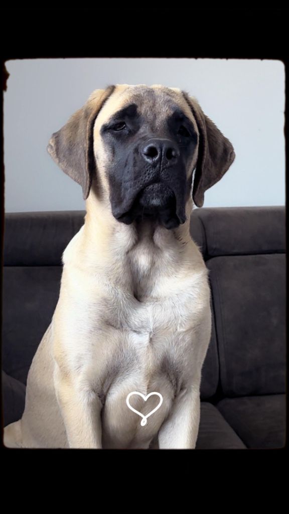 Publication : Domaine Des Doux Coussinets 