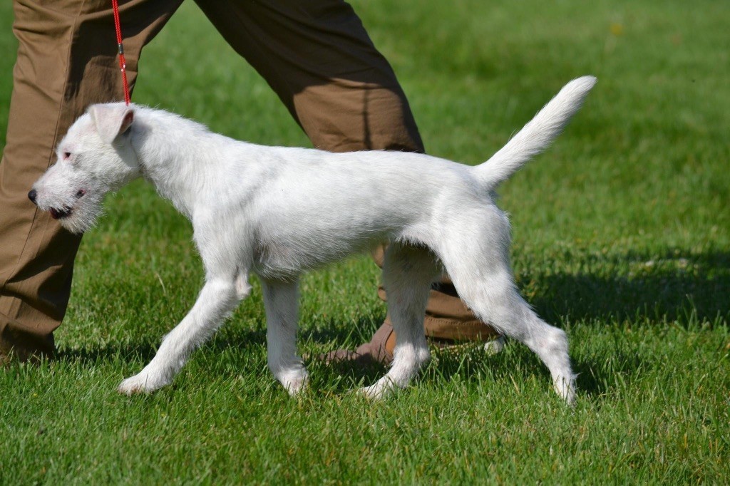 Publication : Des Garennes De Beauregard 