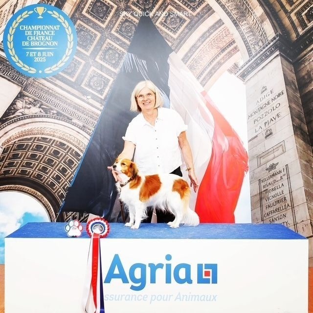 Publication : Catidog Cocagne Auteur : WIGGEN