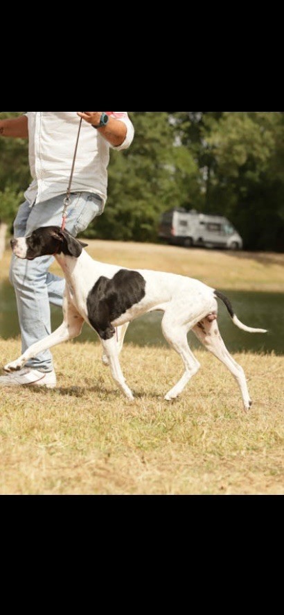 Publication : Des Grands Chaumes Gersois 